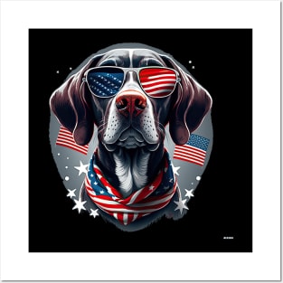 Pointer dog 4th of July Posters and Art